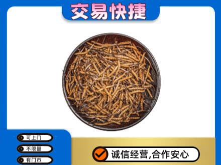 宁波市北仑礼品回收虫草.jpg